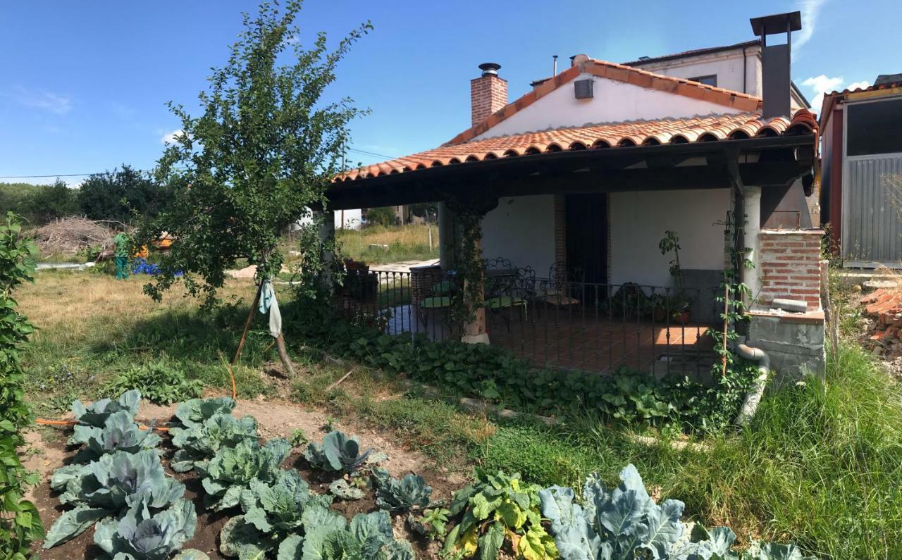 Casa De Pueblo Con Merendero Alquilable OpcionalmenteCasarejos エクステリア 写真